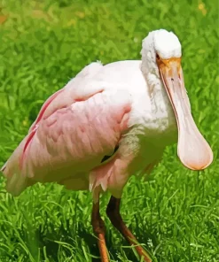 Flat Billed Bird Diamond Painting