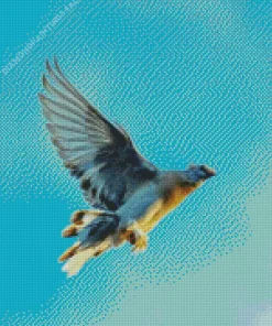 Flying Pigeon Diamond Painting
