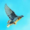 Flying Pigeon Diamond Painting