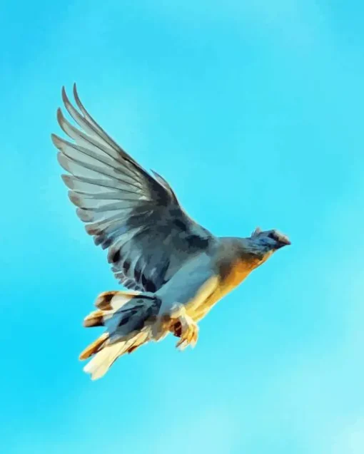 Flying Pigeon Diamond Painting