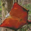 Flying Squirrel Diamond Painting
