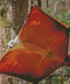 Flying Squirrel Diamond Painting