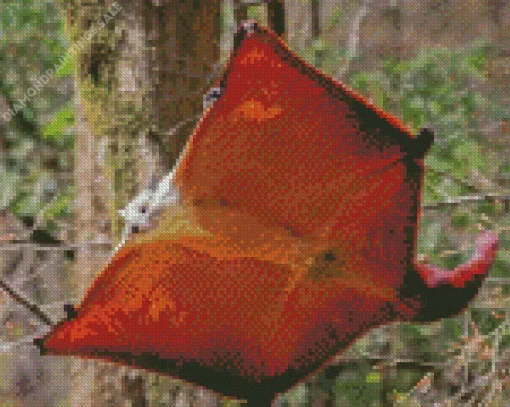 Flying Squirrel Diamond Painting