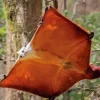 Flying Squirrel Diamond Painting