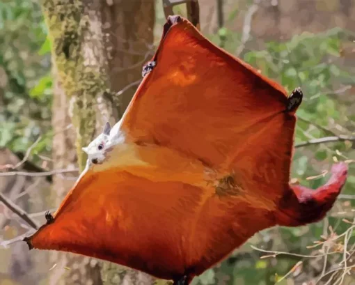Flying Squirrel Diamond Painting