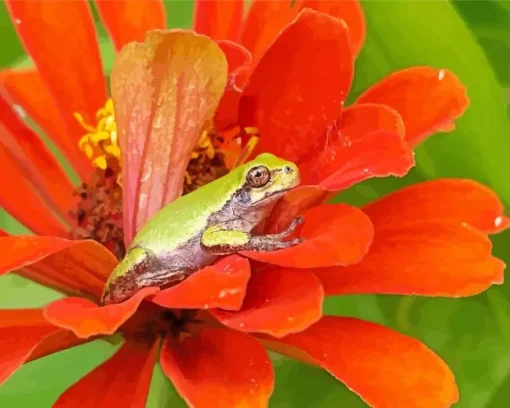 Frog In Flower Diamond Painting