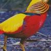 Golden Pheasant Diamond Painting