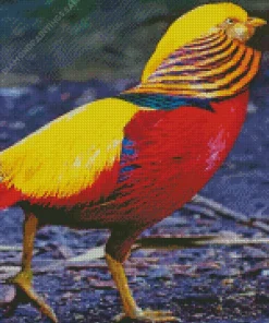 Golden Pheasant Diamond Painting