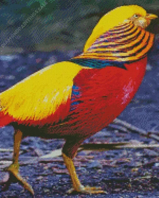 Golden Pheasant Diamond Painting