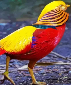Golden Pheasant Diamond Painting
