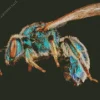 Green Bee Insect Diamond Painting