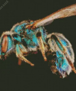 Green Bee Insect Diamond Painting