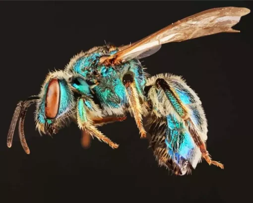 Green Bee Insect Diamond Painting
