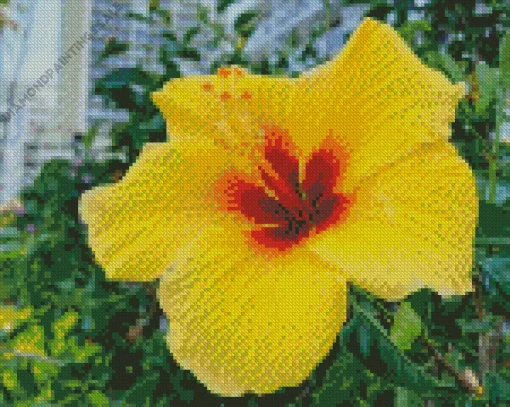 Hawaiian Flower Diamond Painting