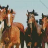Herd Of Horses Diamond Painting