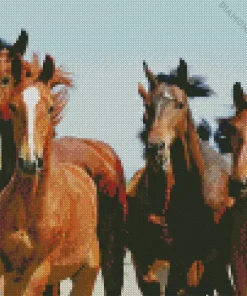 Herd Of Horses Diamond Painting