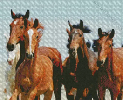 Herd Of Horses Diamond Painting