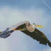 Heron Bird Flying Diamond Painting