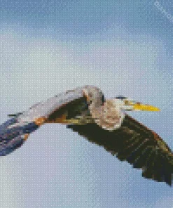 Heron Bird Flying Diamond Painting