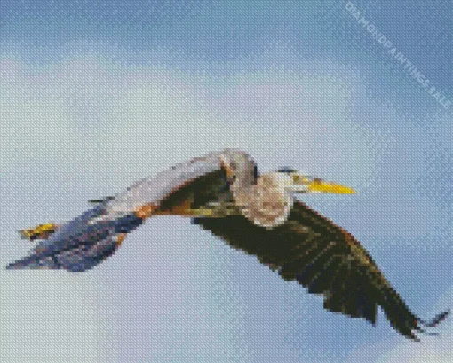 Heron Bird Flying Diamond Painting