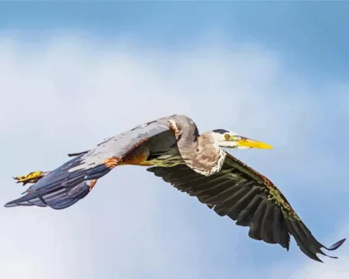 Heron Bird Flying Diamond Painting
