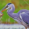 Heron Eating Fish Diamond Painting