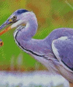 Heron Eating Fish Diamond Painting