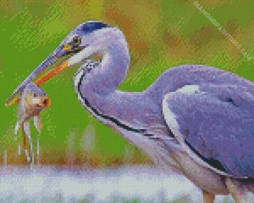 Heron Eating Fish Diamond Painting