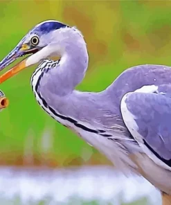 Heron Eating Fish Diamond Painting