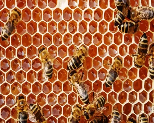 Bee Hive Diamond Painting