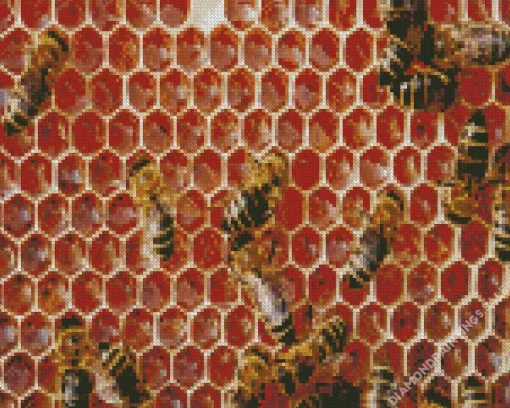 Bee Hive Diamond Painting