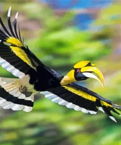 Hornbill Bird Flying Diamond Painting