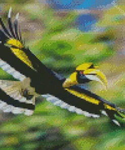 Hornbill Bird Flying Diamond Painting
