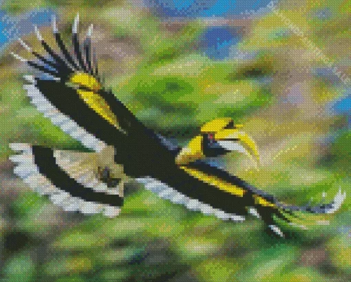 Hornbill Bird Flying Diamond Painting