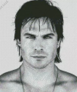 Ian Somerhalder Diamond Painting