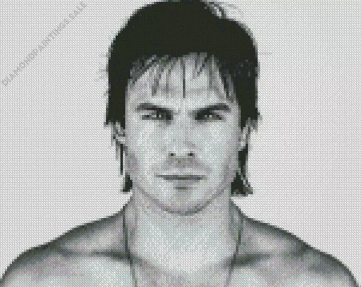 Ian Somerhalder Diamond Painting