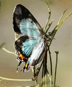 Imperial Blue Butterfly Diamond Painting