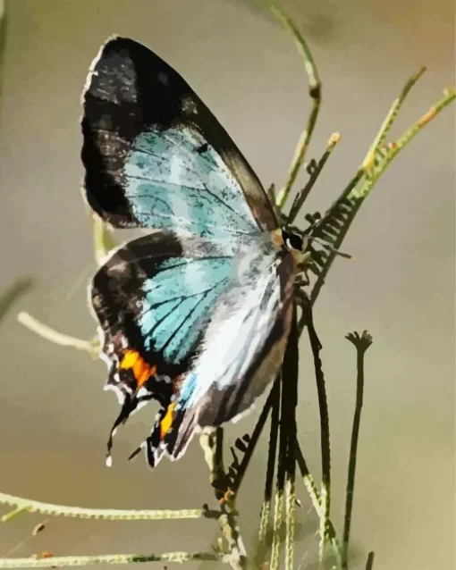 Imperial Blue Butterfly Diamond Painting