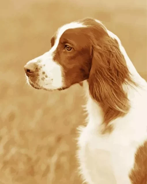 Irish Red And White Setter Diamond Painting