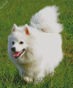 Japanese Spitz Dog Diamond Painting