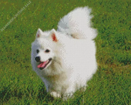Japanese Spitz Dog Diamond Painting