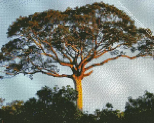 Kapok Tree Diamond Painting