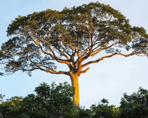 Kapok Tree Diamond Painting