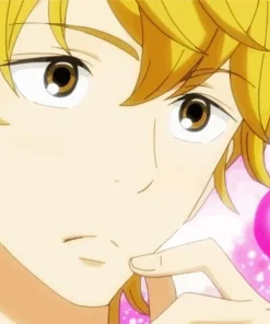 Kento Miura Kimi Ni Todoke Diamond Painting