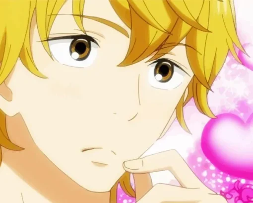 Kento Miura Kimi Ni Todoke Diamond Painting