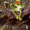 Kermit Playing Banjo Diamond Painting