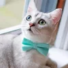 Kitten With Bow Tie Diamond Painting
