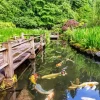 Koi Fishes Pond Diamond Painting