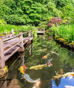 Koi Fishes Pond Diamond Painting