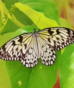 Large Tree Nymph Diamond Painting